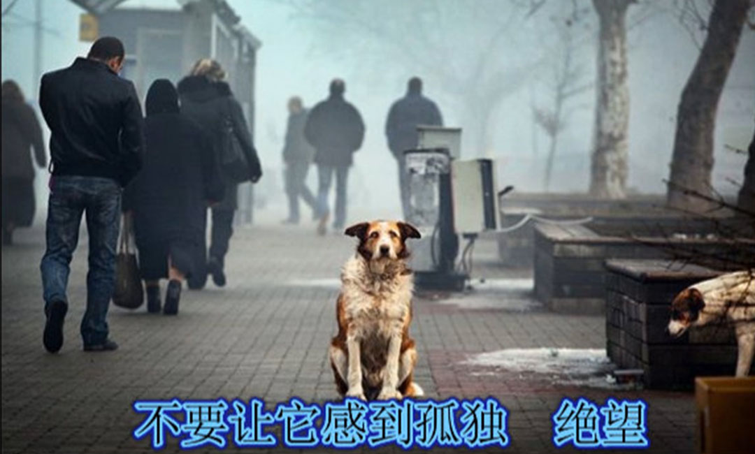福建福建爱影圈微博微信转发案例